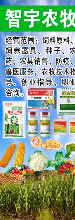 專業(yè)獸醫(yī)工具圖鑒 編號26937282素材的深度解讀與應用